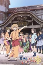 Cover Hanasaku Iroha, Poster, Stream