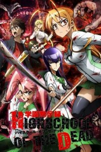 Highschool of the Dead Cover, Poster, Highschool of the Dead DVD