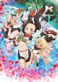 Cover In the Heart of Kunoichi Tsubaki, TV-Serie, Poster