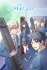 Cover Kono Oto Tomare!: Sounds of Life, Poster, Stream