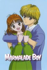 Filme Cover, Poster
