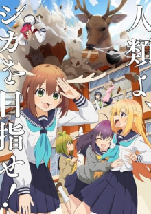 My Deer Friend Nokotan, Cover, HD, Anime Stream, ganze Folge