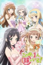 Cover Nakaimo - My Little Sister Is Among Them!, Poster, Stream