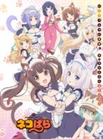 Cover NekoparA, Poster, Stream