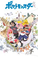 Cover Pokémon, Poster Pokémon