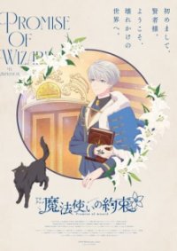 Poster, Promise of Wizard Anime Cover