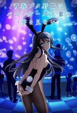 Cover Rascal Does Not Dream of Bunny Girl Senpai, Poster Rascal Does Not Dream of Bunny Girl Senpai