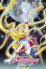 Cover Sailor Moon Crystal, Poster Sailor Moon Crystal