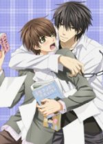 Cover Sekai Ichi Hatsukoi: World's Greatest First Love, Poster, Stream