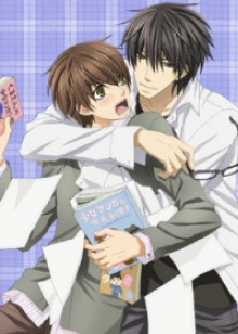 Sekai Ichi Hatsukoi: World's Greatest First Love, Cover, HD, Anime Stream, ganze Folge