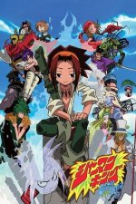 Cover Shaman King, Poster, Stream