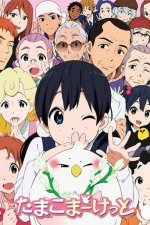 Cover Tamako Market, Poster, Stream