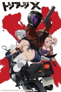 Triage X Cover, Poster, Triage X DVD