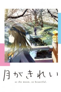 Tsukigakirei Cover, Poster, Tsukigakirei DVD