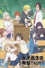 Cover Wasteful Days of High School Girls, Poster, Stream