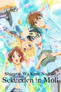 Your Lie in April Cover, Poster, Your Lie in April DVD