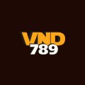 Vnd789games Avatar, Vnd789games Profilbild