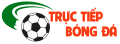 Tructiepbongdanw Avatar, Tructiepbongdanw Profilbild