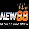 New88aeorg Avatar, New88aeorg Profilbild