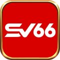 Sv66global Avatar, Sv66global Profilbild
