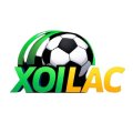 Xoilacliveorg Avatar, Xoilacliveorg Profilbild
