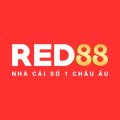 Red881com Avatar, Red881com Profilbild