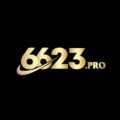 6623pro Avatar, 6623pro Profilbild