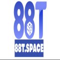 88tspace Avatar, 88tspace Profilbild