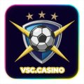 Vsccasino Avatar, Vsccasino Profilbild
