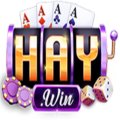 Haywin1media Avatar, Haywin1media Profilbild