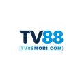 Tv88mobicom Avatar, Tv88mobicom Profilbild