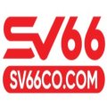 Sv66cocom Avatar, Sv66cocom Profilbild