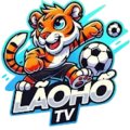 Laohotvin1 Avatar, Laohotvin1 Profilbild