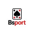 Bsportcv Avatar, Bsportcv Profilbild