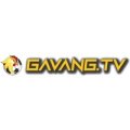 Gavangtvllc Avatar, Gavangtvllc Profilbild