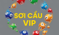 Soicauvip Avatar, Soicauvip Profilbild