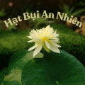 Hatbuiannhien Avatar, Hatbuiannhien Profilbild