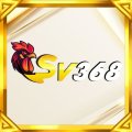 Sv3689net Avatar, Sv3689net Profilbild