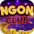 Ngonclubuscom Avatar, Ngonclubuscom Profilbild