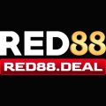 Red88deal Avatar, Red88deal Profilbild