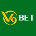 V9betmba Avatar, V9betmba Profilbild