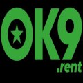 Ok9rent Avatar, Ok9rent Profilbild