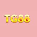 Tg88appnet Avatar, Tg88appnet Profilbild