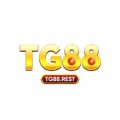 Tg88rest Avatar, Tg88rest Profilbild