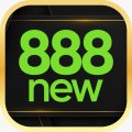 6888newcom1 Avatar, 6888newcom1 Profilbild