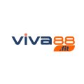 Viva88fit Avatar, Viva88fit Profilbild