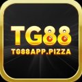 Tg88pizza Avatar, Tg88pizza Profilbild