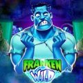 Frankenwild Avatar, Frankenwild Profilbild