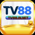 Tv88innet Avatar, Tv88innet Profilbild