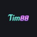 Tim88biz Avatar, Tim88biz Profilbild